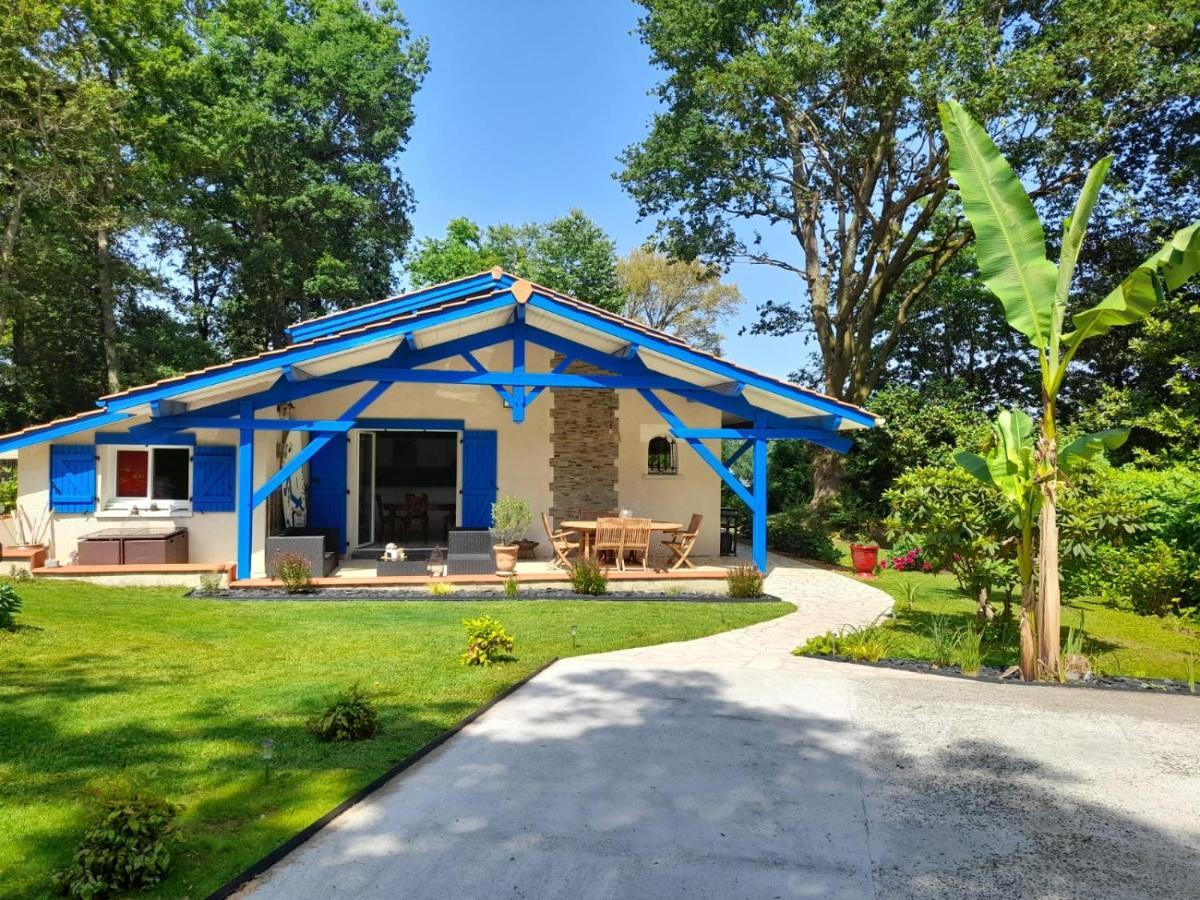 La Clairiere Du Seignanx Acomodação com café da manhã Saint-Martin-de-Seignanx Exterior foto